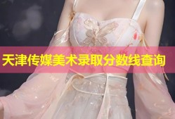 天津传媒美术录取分数线查询