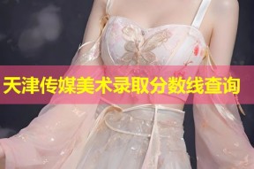天津传媒美术录取分数线查询