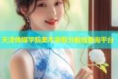 天津传媒学院美术录取分数线查询平台