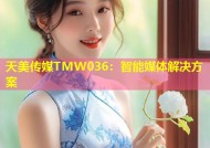 天美传媒TMW036：智能媒体解决方案