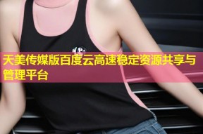 天美传媒版百度云高速稳定资源共享与管理平台