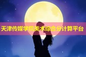 天津传媒学院美术综合分计算平台