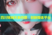 四川锦城天美传媒：创新媒体平台