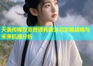 天美传媒投资管理有限公司发展战略与未来机遇分析