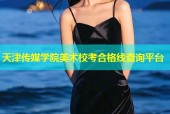 天津传媒学院美术校考合格线查询平台