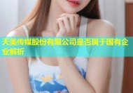 天美传媒股份有限公司是否属于国有企业解析