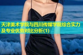天津美术学院与四川传媒学院综合实力及专业优势对比分析(1)
