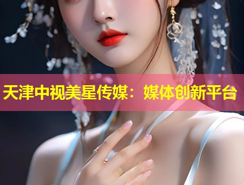 天津中视美星传媒：媒体创新平台  第1张