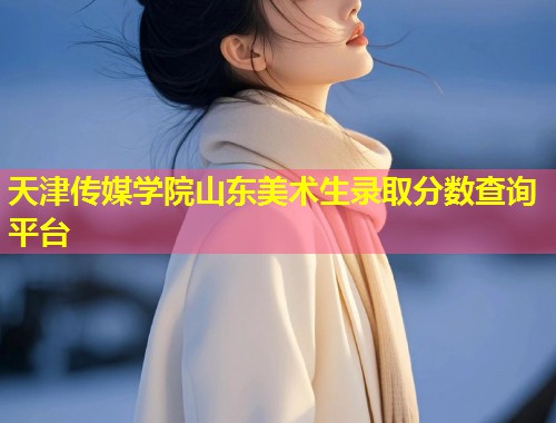 天津传媒学院山东美术生录取分数查询平台  第1张