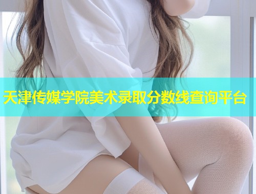 天津传媒学院美术录取分数线查询平台  第2张