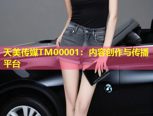 天美传媒TM00001：内容创作与传播平台  第1张