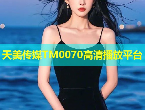 天美传媒TM0070高清播放平台  第1张