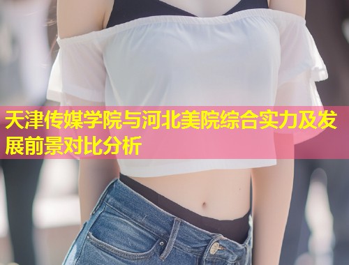 天津传媒学院与河北美院综合实力及发展前景对比分析  第1张