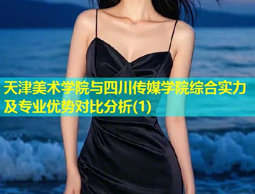 天津美术学院与四川传媒学院综合实力及专业优势对比分析(1)  第1张