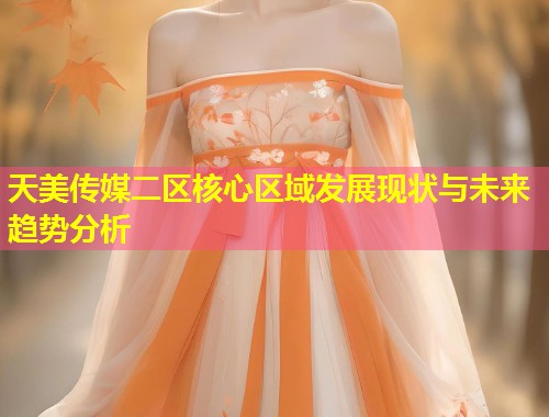 天美传媒二区核心区域发展现状与未来趋势分析  第1张
