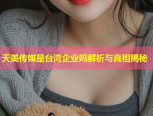 天美传媒是台湾企业吗解析与真相揭秘  第2张